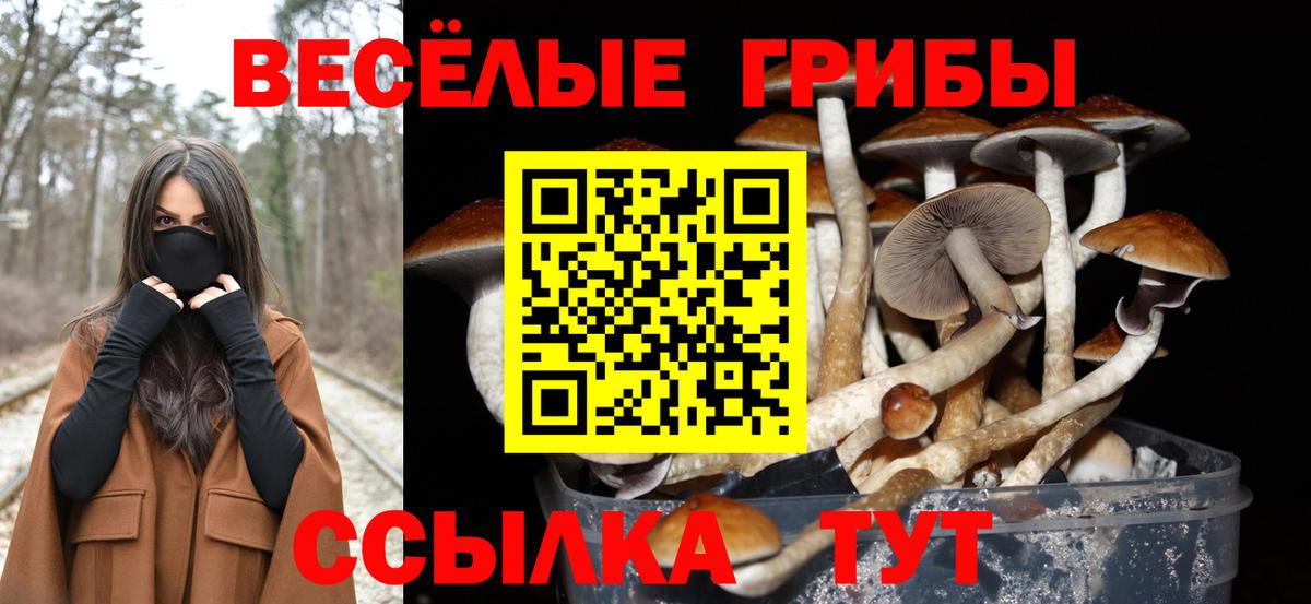 Белебей  Псилоцибиновые грибы Magic Shrooms  Вход с VPN 